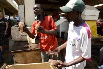 DSC_7595 (Large).JPG